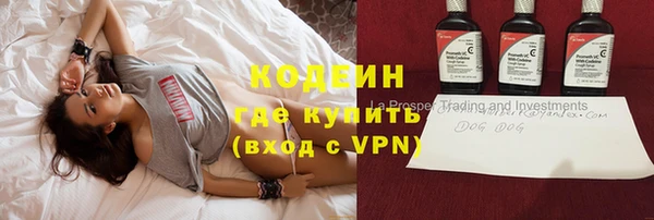 спайс Аша