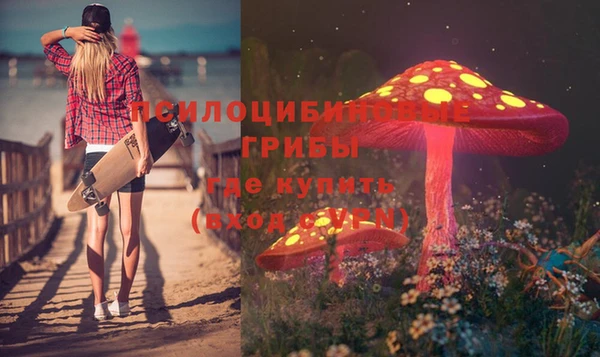 ПСИЛОЦИБИНОВЫЕ ГРИБЫ Нягань