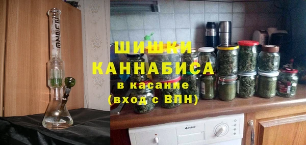 ГАЛЛЮЦИНОГЕННЫЕ ГРИБЫ Бабаево