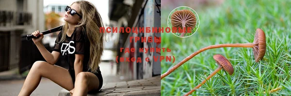 МДПВ Нязепетровск