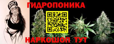 ALPHA PVP Малгобек