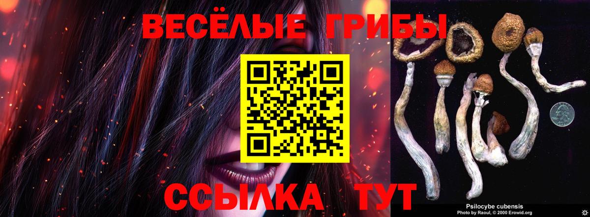 Галлюциногенные грибы мицелий  Галлюциногенные грибы MAGIC MUSHROOMS  Вход с VPN  Биробиджан 