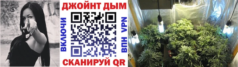 где купить наркотик  Биробиджан  Бошки марихуана индика 