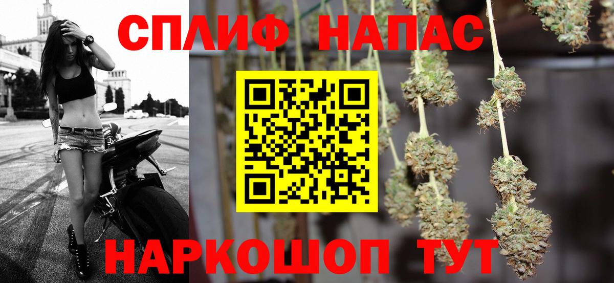 Каннабис планчик  Каннабис планчик  Биробиджан  Бошки Шишки сатива  Вход с VPN 